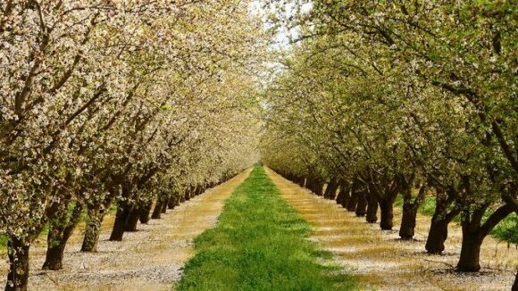 Foresta Capital evoluciona a Microsoft Dynamics Business Central