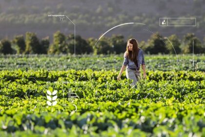 Cobadu moderniza su gestión con Dynamics 365 Business Central