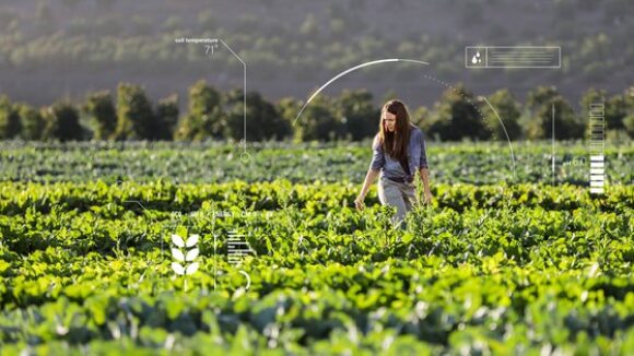 Cobadu moderniza su gestión con Dynamics 365 Business Central