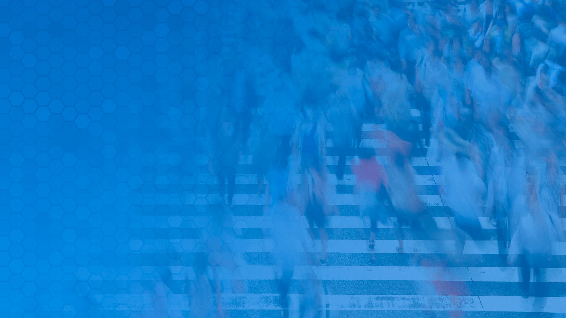 Seguimiento de licitaciones y ofertas