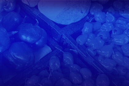 IB Food como respuesta a la Transformación Digital del sector alimentario