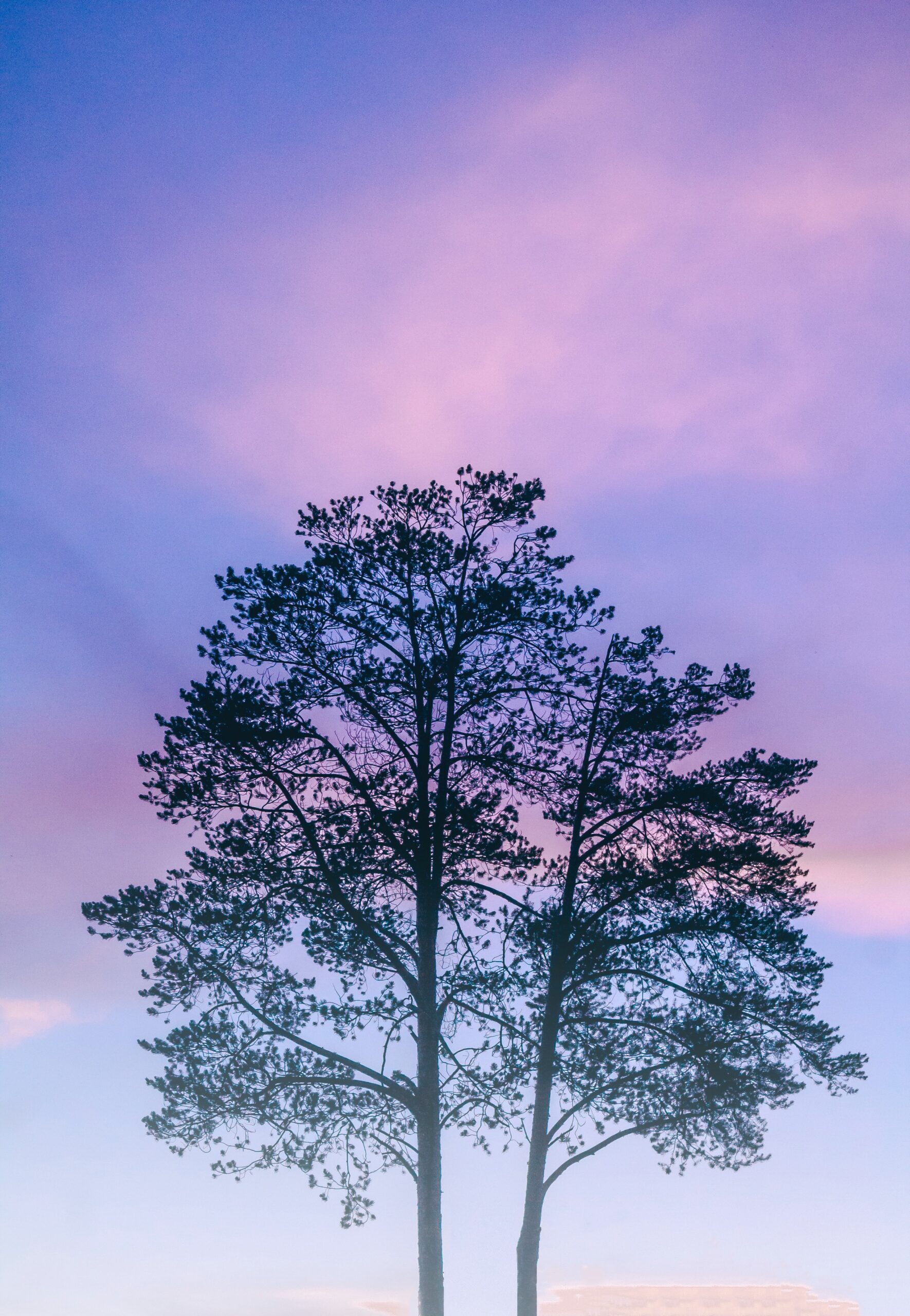 Actividad agrícola y ganadera