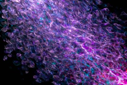 Estrategia Empresarial Efectiva: Evaluación  de Costes y ROI con Microsoft Dynamics 365 Business Central