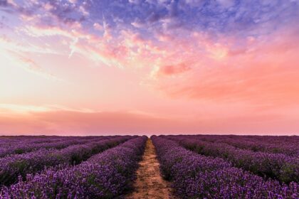 ¿Estás listo para el salto? Predicciones sobre Dynamics 365 Customer Engagement en 2025